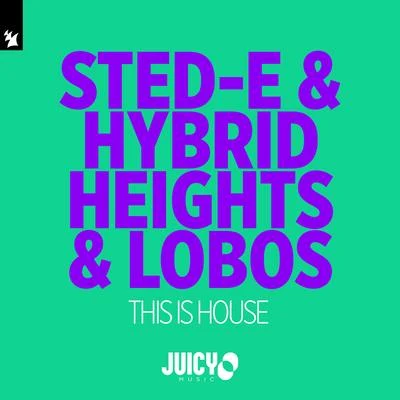 Sted-E & Hybrid HeightsAnggun This Is House