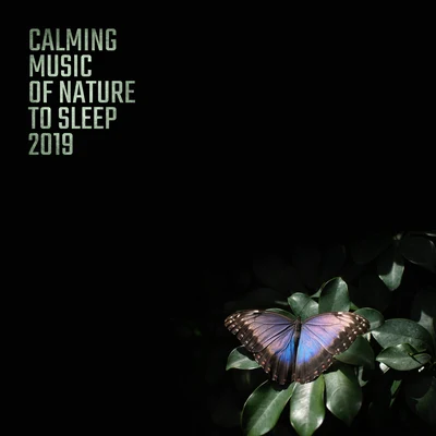 Calming Music of Nature to Sleep 2019 專輯 Deep Sleep System/Deep Sleep Maestro Sounds