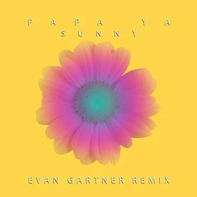 Sunny (Evan Gartner Remix) 专辑 Roses & Revolutions/Evan Gartner