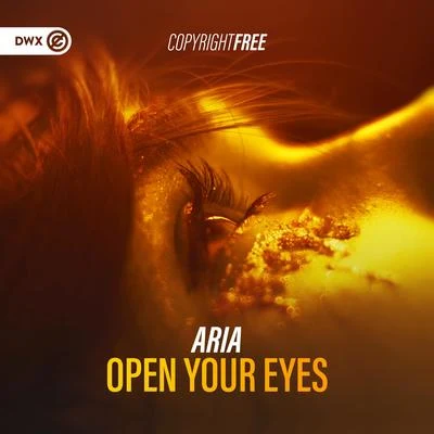 Open Your Eyes 專輯 ARIA/DJ or太在意 & mark.M