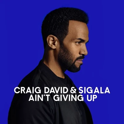 Aint Giving Up (WiDE AWAKE Remix) 專輯 Craig David