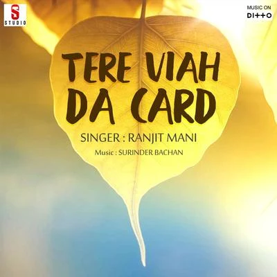 Tere Viah Da Card 专辑 DJ Surinder Rattan/Young Hemi/Ranjit Mani