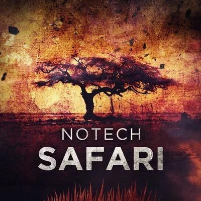 NoTechTdz Safari