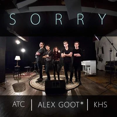 Sorry 專輯 Alex Goot