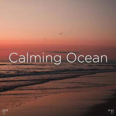 "!! Calming Ocean "!! 專輯 Ocean Waves for Sleep/Ocean Sounds