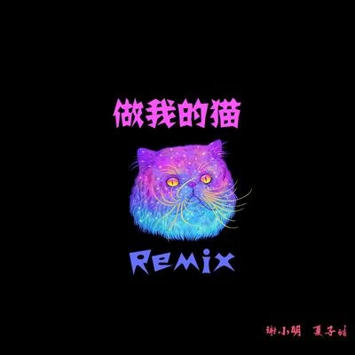 做我的貓（Remix） 專輯 夏子皓/HaKo/吳海嘯/揚科YANGK/七神KeDon