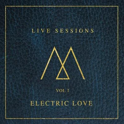 Electric Love (Live Acoustic Version) 专辑 Madilyn Bailey