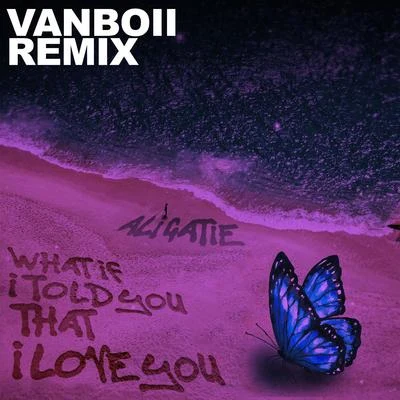 Ali Gatie What If I Told You That I Love You (Vanboii Remix)