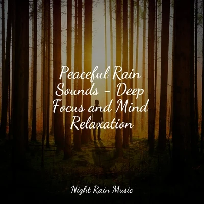 Sleep TightPowerThoughts Meditation ClubNature Sounds Nature Music Peaceful Rain Sounds - Deep Focus and Mind Relaxation