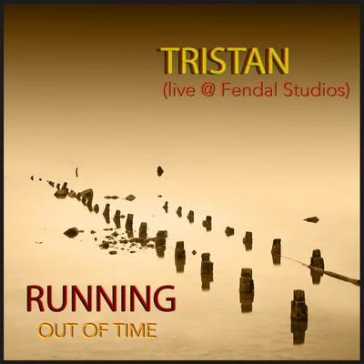 Running out of Time 專輯 Digital Hippies/Tristan