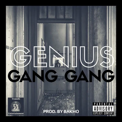 Gang Gang 專輯 Genius/Genius Cru/Shy Cookie/AC Burrell/Lady Saw