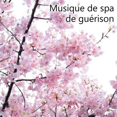 Musique de spa de guérison - Sons pour la relaxation, Le bien-être, Le massage parfait, Leau reposante, Le calme, Le sommeil profond, La beauté 專輯 Oasis de Musique Zen Spa