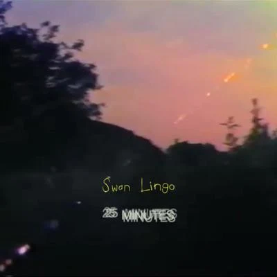 25 Minutes 专辑 Swan Lingo