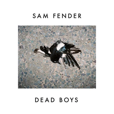 Dead Boys 专辑 Sam Fender