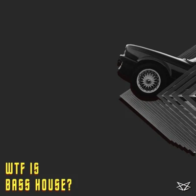 什麼是Bass House？ （WTF Is Bass House?） 專輯 路南/Anzol