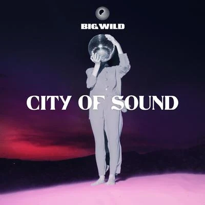 Big Wild City of Sound