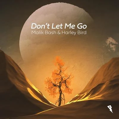 Don't Let Me Go 專輯 Harley Bird/Kløn