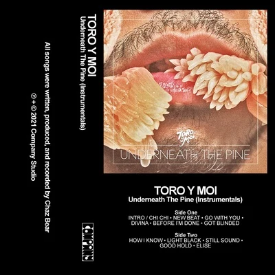 Underneath the Pine (Instrumentals) 專輯 Toro y Moi/Rome Fortune