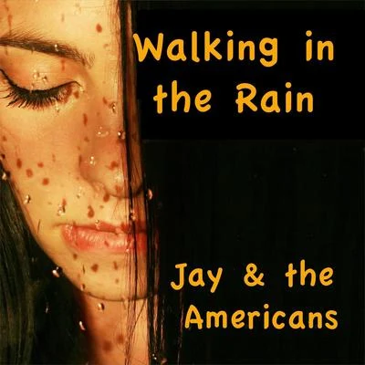 Walkinin the Rain 專輯 Jay/Nick/Alex Da Basso/Smash Phunk/Kina