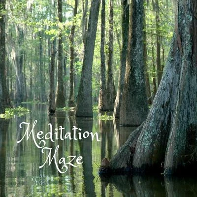 Meditation Maze 專輯 Rain Recorders/Mother Nature Sound FX/Nature Sounds Nature Music