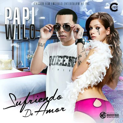 Sufriendo de Amor - Single 專輯 Duran The Coach/Papi Wilo/Franco El Gorilla