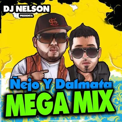 Ñejo & Dalmata Mega Mix 專輯 DJ Nelson