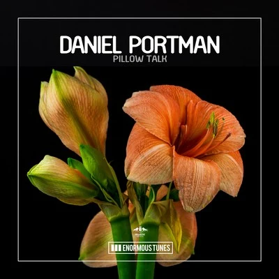 Pillow Talk 專輯 Daniel Portman