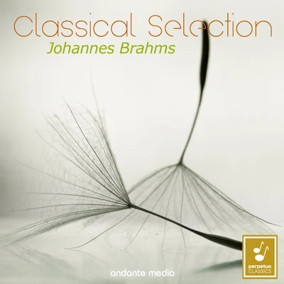 Classical Selection - Brahms: Symphony No. 2 & Clarinet Sonata No. 2 專輯 Karel Krautgartner/Libor Pešek/Milan Ulrich/Miroslav Krýsl/Vladimír Klazov