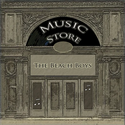 The Beach Boys Music Store