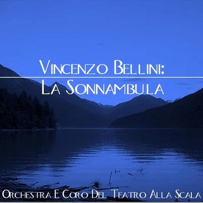 Vincenzo Bellii: La Sonnambula 專輯 Nicola Monti