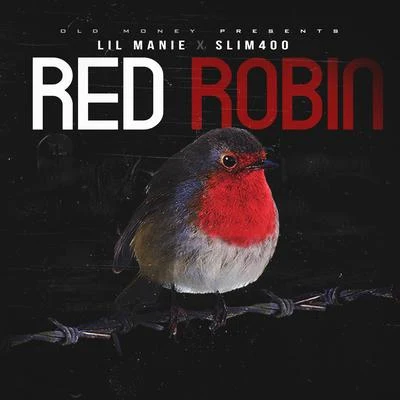 Slim 400 Red Robin