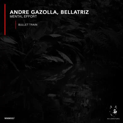 Mental Effort 專輯 Andre Gazolla