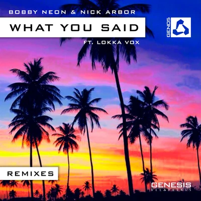 What You Said [Remixes] 专辑 Audio Noir/Lokka Vox