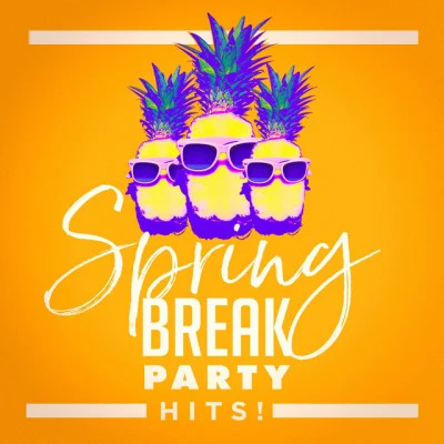 Spring Break Party Hits! 專輯 Ibiza Dance Party