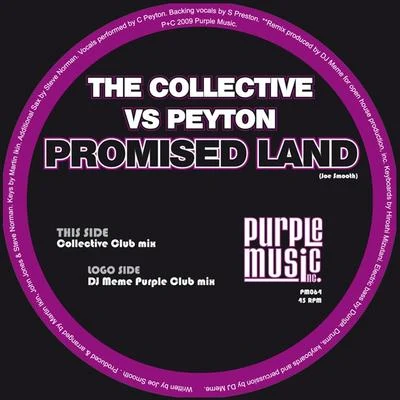 Promised Land 專輯 The Collective/Findlay Brown/George Michael