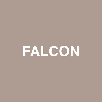 Falcon 專輯 Raury