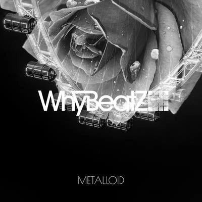 METALLOID 專輯 WhyBeatZ