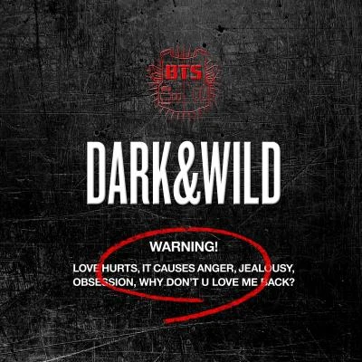 BTSCharlie PuthJung Kook DARK&WILD