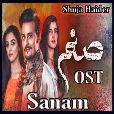 Sanam (From "Sanam") 專輯 Shuja Haider/Rachel Viccaji