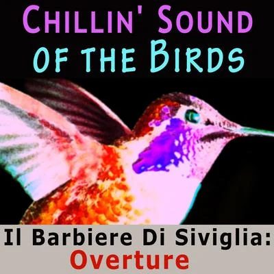 Chillin Sound of Birds 專輯 Eteri Lamoris/Tbilisi Symphony Orchestra/Djansug Kakhidze