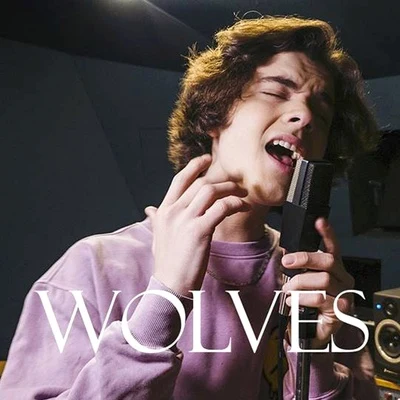 Alexander Stewart Wolves