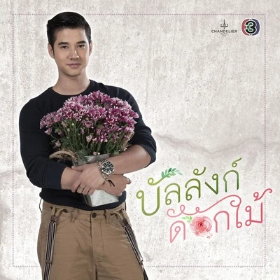 ขอบคุณ (Acoustic Version) [เพลงประกอบละคร บัลลังก์ดอกไม้] 专辑 Mario Maurer