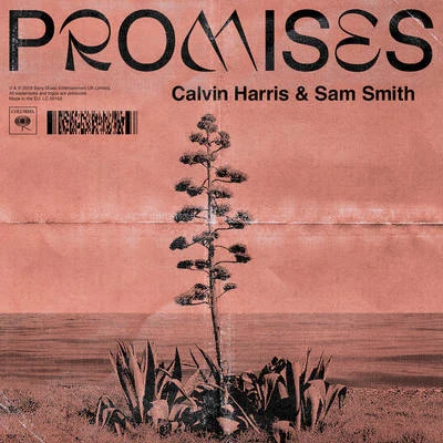 Promises 專輯 Sam Smith/Taylor Swift/Meghan Trainor/Shellback/8 Bit Universe