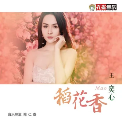 稻花香 专辑 王奕心