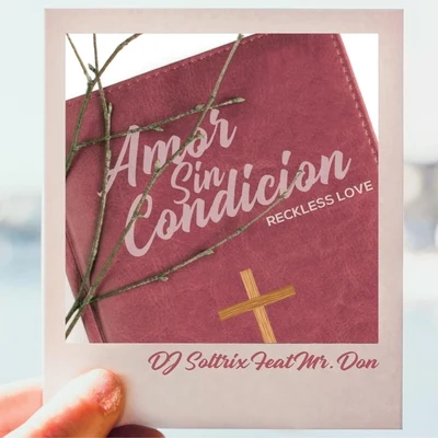 Amor Sin Condicion (Reckless Love) [feat. Mr. Don] 专辑 Sr. Nohaya/Un Titico/Mr. Don