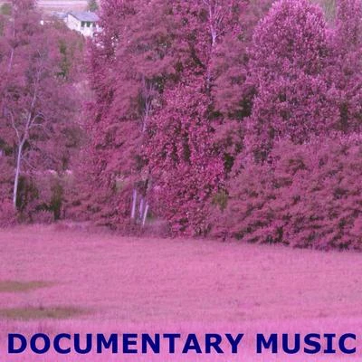 Documentary Music 专辑 Hugh Cornwell/Robert Williams