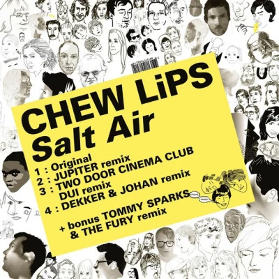 Chew Lips 歌手