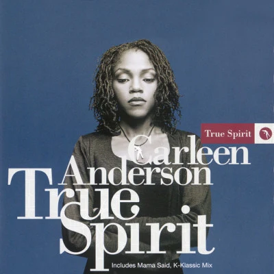 歌手 Carleen Anderson