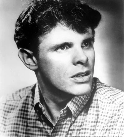 歌手 Del Shannon