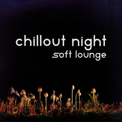 Chillout Night 歌手